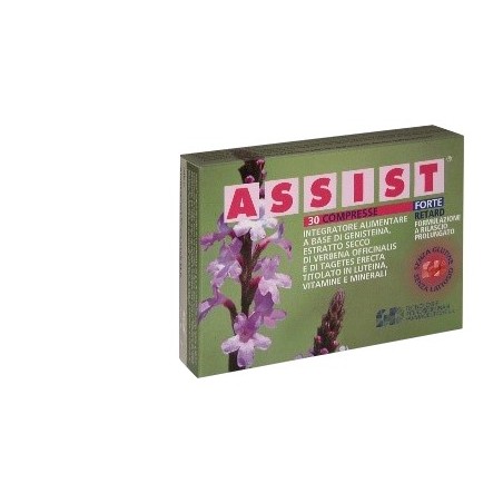 Gd Assist Forte Retard 30 Compresse Gd - 1