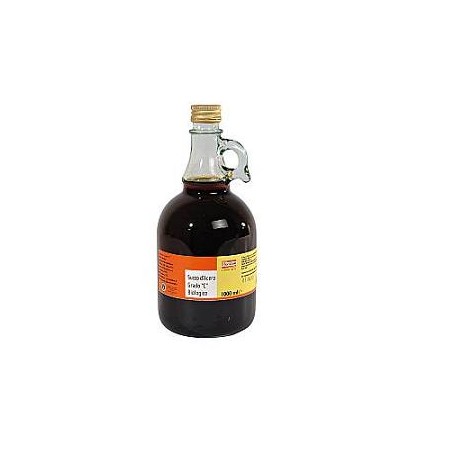 Biotobio Succo Acero 1000 Ml BiotoBio - 1