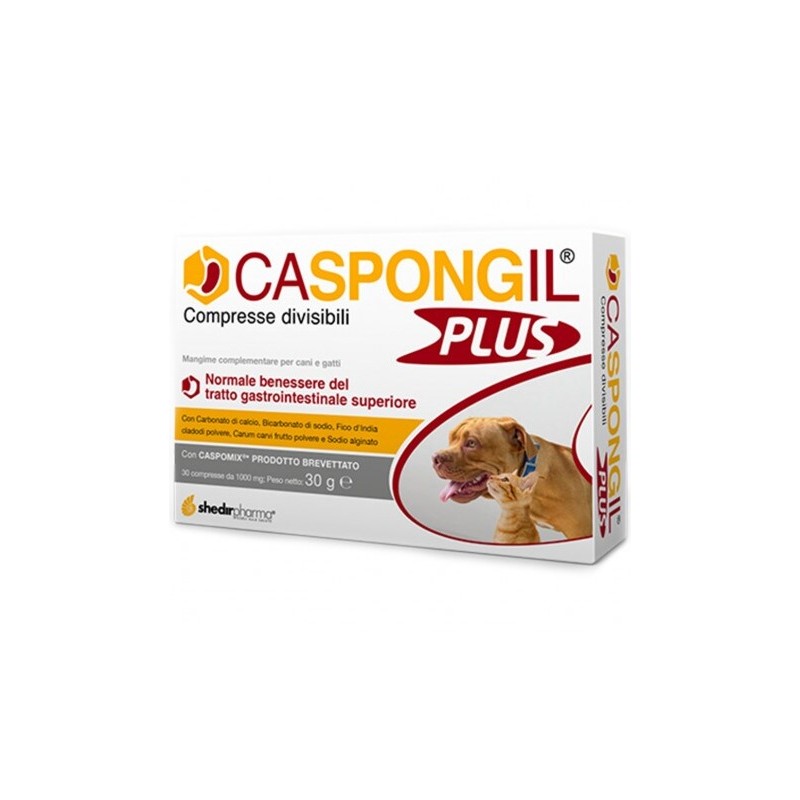 CASPONGIL PLUS 30 COMPRESSE  - 1