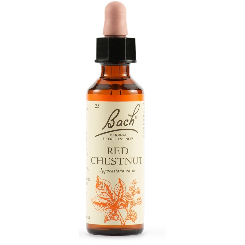 Schwabe Pharma Italia Red Chestnut Bach Orig 20 Ml - Rimedi vari - 942859962 - Schwabe Pharma Italia - € 16,12