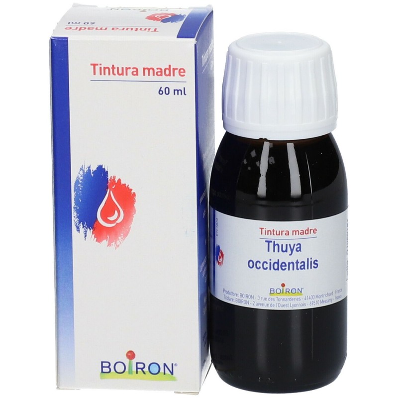 THUYA OCCIDENTALIS TINTURA MADRE 60 ML  - 1