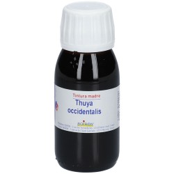 THUYA OCCIDENTALIS TINTURA MADRE 60 ML  - 3