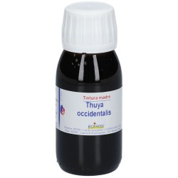 THUYA OCCIDENTALIS TINTURA MADRE 60 ML  - 8