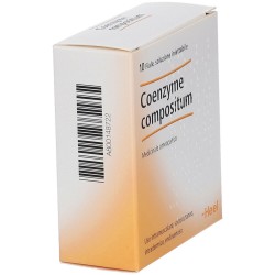 HEEL COENZYME COMPOSTO 10 FIALE DA 2,2 ML L'UNA  - 2