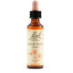 Schwabe Pharma Italia Rock Rose Bach Orig 20 Ml - Rimedi vari - 942859986 - Schwabe Pharma Italia - € 16,31