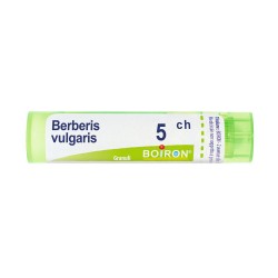 Boiron Berberis Vulgaris 5ch 80gr 4g Boiron - 7