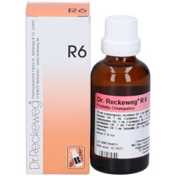 RECKEWEG R6 GOCCE 50 ML  - 2