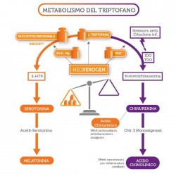 Neoxerogen Pro Integratore Antiossidante 30 Compresse  - 2