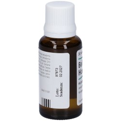 Biologische Heilm. Heel Gmbh Belladonna Homaccord Gocce 30ml Biologische Heilm. Heel Gmbh - 8