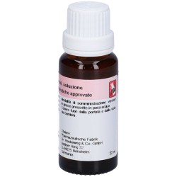 RECKEWEG R13 GOCCE 22 ML  - 6