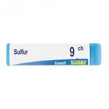 Boiron Sulfur 9ch Gl 1g Boiron - 1