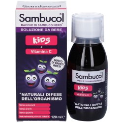 Named Sambucol Soluzione Da Bere Kids 120 Ml Named - 1