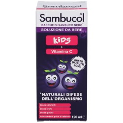 Named Sambucol Soluzione Da Bere Kids 120 Ml Named - 2