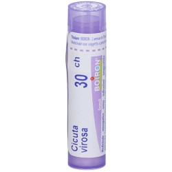 Boiron Cicuta Virosa Boi 30ch 80gr 4g Boiron - 4