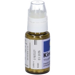 KINDIVAL 800 GLOBULI 10 G  - 2