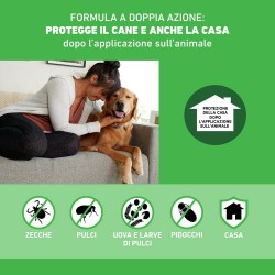 Frontline Combo Spot-On Cani 3 Pipette Per Cani da 2 a 10 Kg Frontline - 3