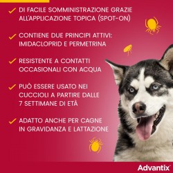 Advantix Spot On Fino a 4 Kg Soluzione Antiparassitaria 6 Pipette Advantix - 4