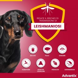 Advantix Spot-On Per Cani da 4 a 10 Kg Elimina e Repelle Zecche, Pulci e Pidocchi 1 pipetta Advantix - 2