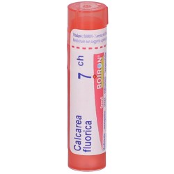 Boiron Calcarea Flu Boi 7ch 80gr 4g Boiron - 1