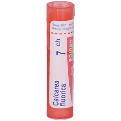 Boiron Calcarea Flu Boi 7ch 80gr 4g Boiron - 3