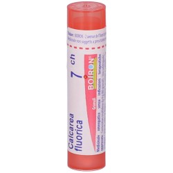 Boiron Calcarea Flu Boi 7ch 80gr 4g Boiron - 4