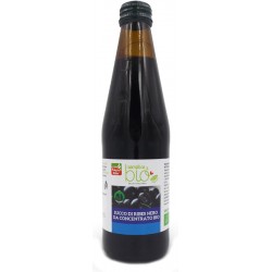 Biotobio Fsc Succo Di Ribes Nero Bio Senza Zuccheri Aggiunti 330 Ml BiotoBio - 1