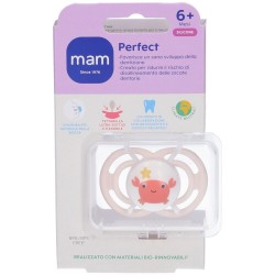 Bamed Baby Italia Mam Perfect Succhietto 6+ Mesi Silicone Singolo Neutro Mam - 4