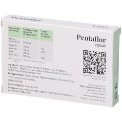 Pentaflor Integratore per Equilibrio Intestinale Fermenti Lattici 10 Miliardi 15 Capsule  - 3