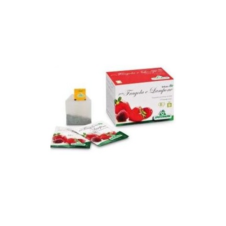 Specchiasol Infuso Fragola/lampone 20bust Specchiasol - 1